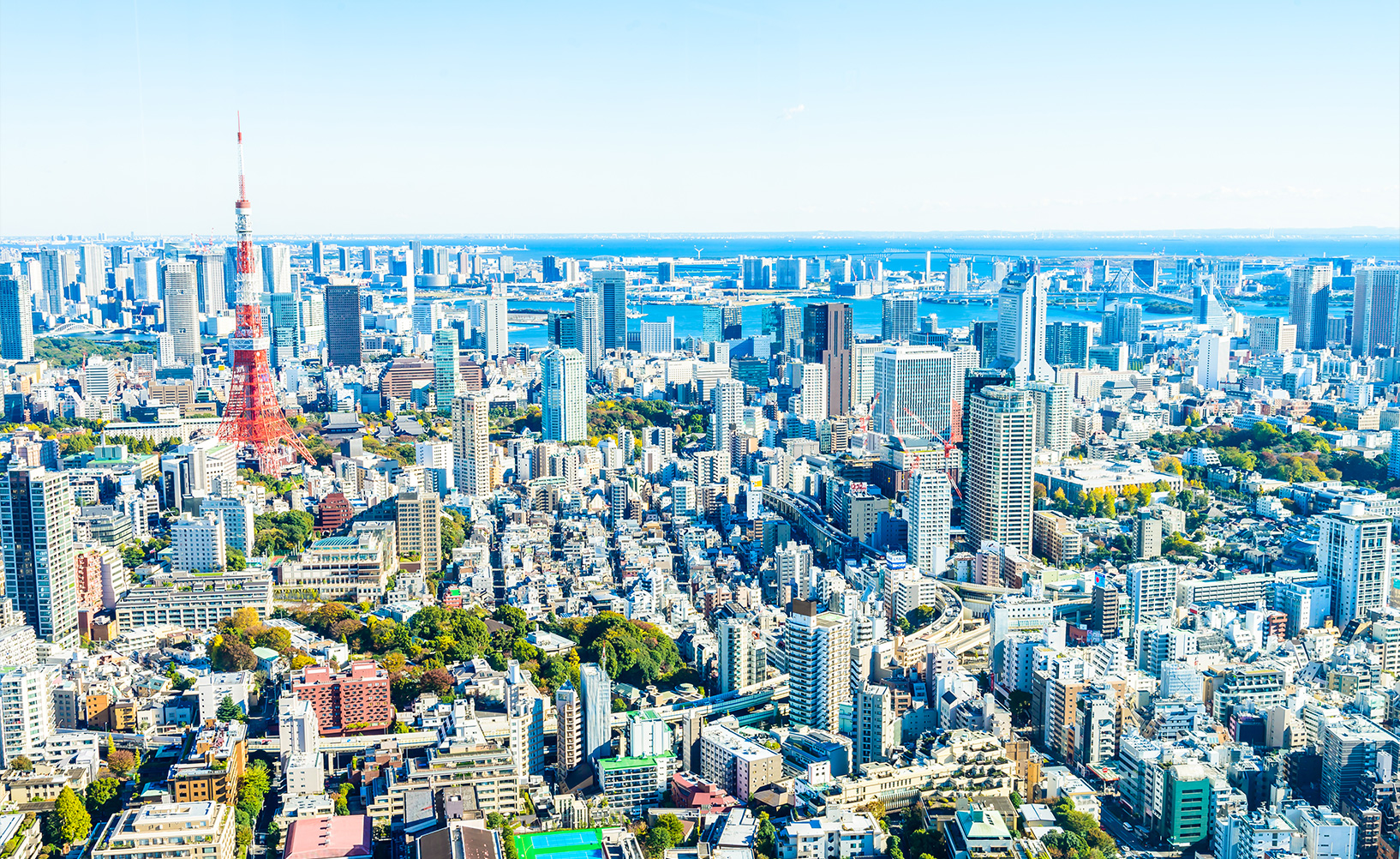 都市と地域の“かけ橋”として