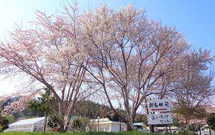 平舘福祉会の事業所の案内