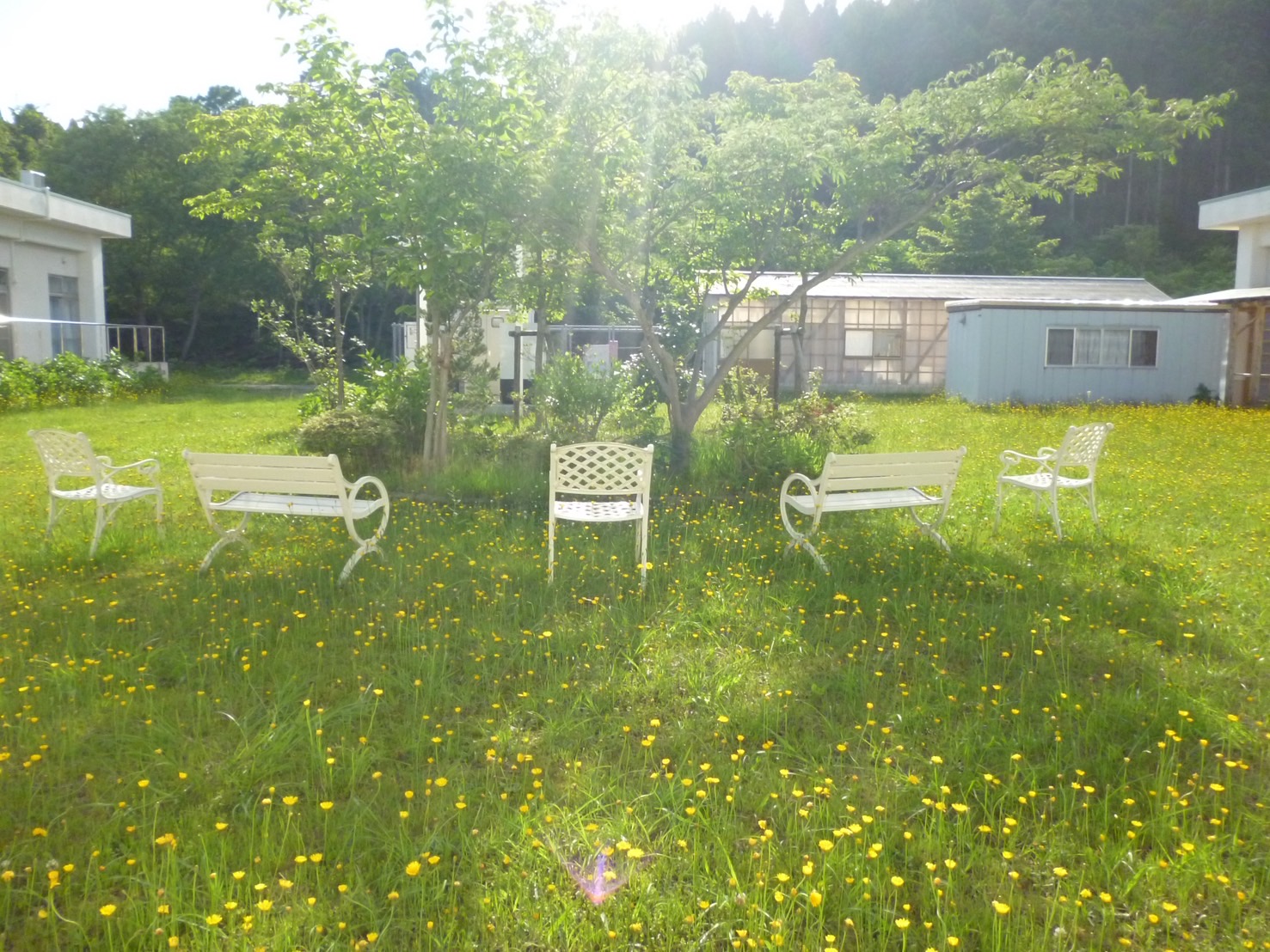 短期入所かもめ苑