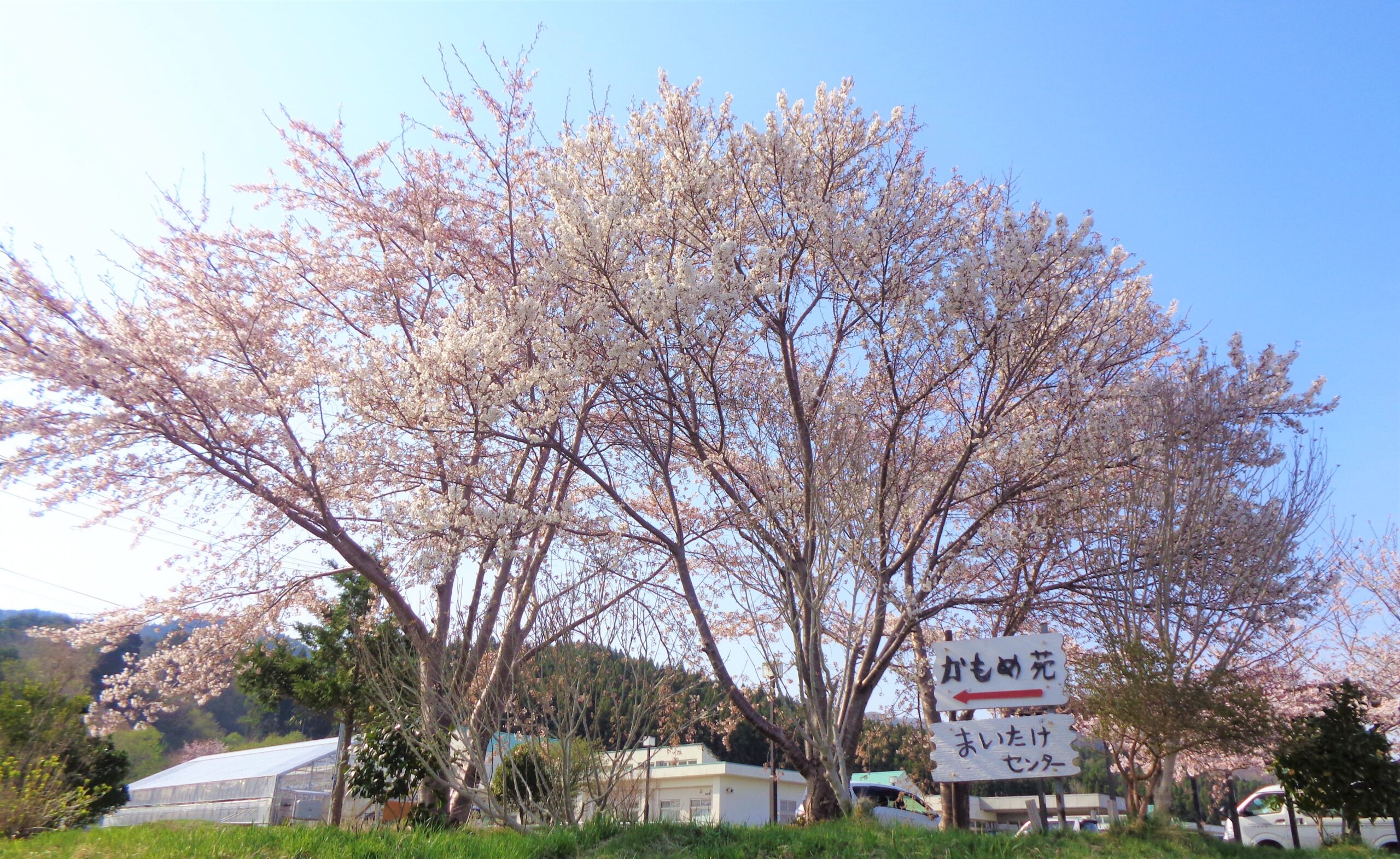 平舘福祉会の事業案内