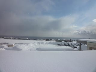 ニュース・お知らせ